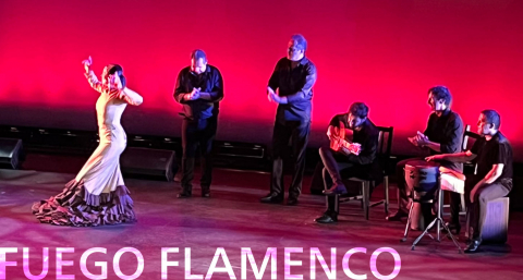 The Flamenco Series at GALA Theatre Part 1